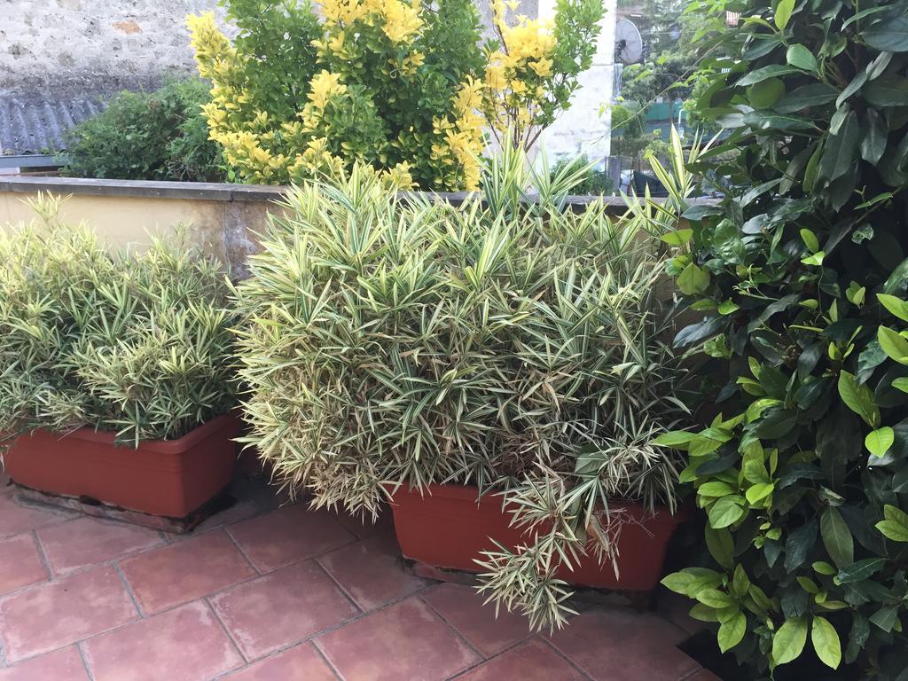 לינה וארוחת בוקר קזינו A Casa Di Grace מראה חיצוני תמונה